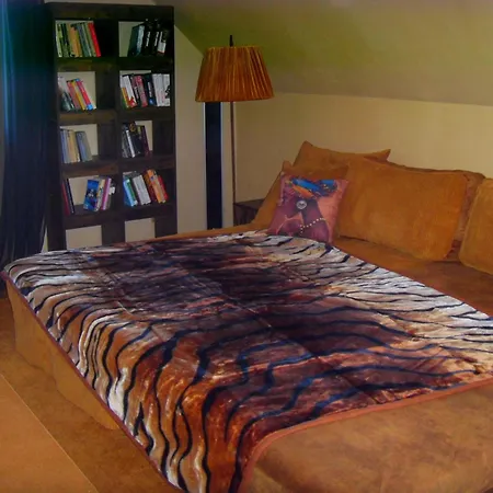 Z Widokiem Na Zamek Appartement